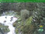 Archiv Foto Webcam Oberhof - Blick in den Rennsteiggarten 06:00