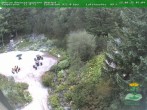 Archiv Foto Webcam Oberhof - Blick in den Rennsteiggarten 07:00