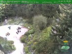 Archiv Foto Webcam Oberhof - Blick in den Rennsteiggarten 09:00