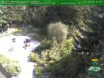 Archiv Foto Webcam Oberhof - Blick in den Rennsteiggarten 11:00