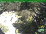 Archiv Foto Webcam Oberhof - Blick in den Rennsteiggarten 13:00