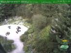 Archiv Foto Webcam Oberhof - Blick in den Rennsteiggarten 17:00