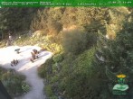 Archiv Foto Webcam Oberhof - Blick in den Rennsteiggarten 19:00