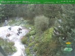 Archiv Foto Webcam Oberhof - Blick in den Rennsteiggarten 06:00
