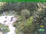 Archiv Foto Webcam Oberhof - Blick in den Rennsteiggarten 09:00