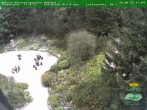 Archiv Foto Webcam Oberhof - Blick in den Rennsteiggarten 11:00