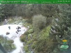 Archiv Foto Webcam Oberhof - Blick in den Rennsteiggarten 06:00