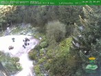Archiv Foto Webcam Oberhof - Blick in den Rennsteiggarten 09:00