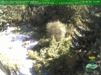 Archiv Foto Webcam Oberhof - Blick in den Rennsteiggarten 11:00