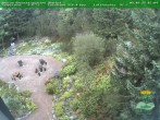 Archiv Foto Webcam Oberhof - Blick in den Rennsteiggarten 05:00