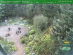 Archiv Foto Webcam Oberhof - Blick in den Rennsteiggarten 06:00