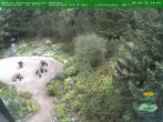 Archiv Foto Webcam Oberhof - Blick in den Rennsteiggarten 08:00
