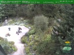 Archiv Foto Webcam Oberhof - Blick in den Rennsteiggarten 09:00