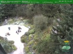 Archiv Foto Webcam Oberhof - Blick in den Rennsteiggarten 12:00
