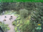 Archiv Foto Webcam Oberhof - Blick in den Rennsteiggarten 15:00