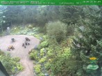 Archiv Foto Webcam Oberhof - Blick in den Rennsteiggarten 05:00