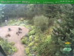 Archiv Foto Webcam Oberhof - Blick in den Rennsteiggarten 06:00
