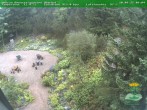 Archiv Foto Webcam Oberhof - Blick in den Rennsteiggarten 07:00
