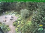 Archived image Webcam Oberhof - Botanical Garden 16:00
