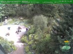 Archiv Foto Webcam Oberhof - Blick in den Rennsteiggarten 11:00