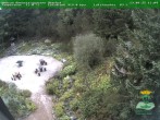 Archiv Foto Webcam Oberhof - Blick in den Rennsteiggarten 12:00