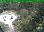 Archiv Foto Webcam Oberhof - Blick in den Rennsteiggarten 13:00