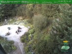 Archiv Foto Webcam Oberhof - Blick in den Rennsteiggarten 19:00