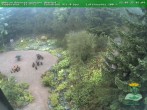 Archiv Foto Webcam Oberhof - Blick in den Rennsteiggarten 07:00