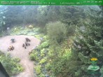 Archiv Foto Webcam Oberhof - Blick in den Rennsteiggarten 08:00