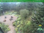 Archiv Foto Webcam Oberhof - Blick in den Rennsteiggarten 09:00