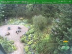 Archiv Foto Webcam Oberhof - Blick in den Rennsteiggarten 11:00