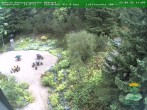 Archiv Foto Webcam Oberhof - Blick in den Rennsteiggarten 13:00