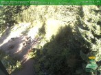 Archiv Foto Webcam Oberhof - Blick in den Rennsteiggarten 17:00