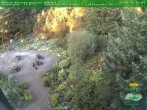 Archiv Foto Webcam Oberhof - Blick in den Rennsteiggarten 19:00