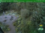 Archiv Foto Webcam Oberhof - Blick in den Rennsteiggarten 21:00