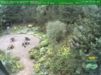 Archiv Foto Webcam Oberhof - Blick in den Rennsteiggarten 07:00