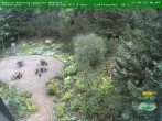 Archiv Foto Webcam Oberhof - Blick in den Rennsteiggarten 09:00