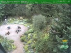 Archiv Foto Webcam Oberhof - Blick in den Rennsteiggarten 11:00
