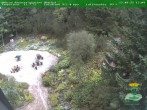 Archiv Foto Webcam Oberhof - Blick in den Rennsteiggarten 13:00