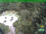 Archived image Webcam Oberhof - Botanical Garden 15:00