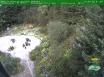 Archived image Webcam Oberhof - Botanical Garden 17:00