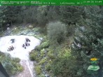 Archived image Webcam Oberhof - Botanical Garden 19:00