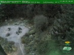 Archived image Webcam Oberhof - Botanical Garden 21:00