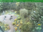 Archiv Foto Webcam Oberhof - Blick in den Rennsteiggarten 07:00