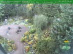 Archiv Foto Webcam Oberhof - Blick in den Rennsteiggarten 08:00