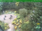 Archiv Foto Webcam Oberhof - Blick in den Rennsteiggarten 09:00