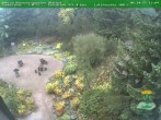 Archiv Foto Webcam Oberhof - Blick in den Rennsteiggarten 13:00