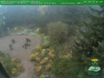 Archiv Foto Webcam Oberhof - Blick in den Rennsteiggarten 07:00