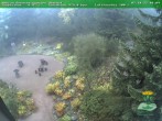 Archiv Foto Webcam Oberhof - Blick in den Rennsteiggarten 08:00