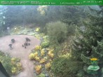 Archiv Foto Webcam Oberhof - Blick in den Rennsteiggarten 13:00